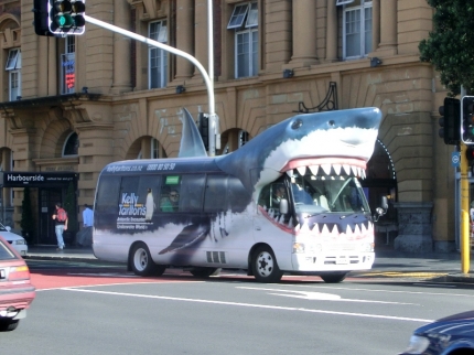 auckland (23)